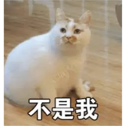 Cat3 - Sticker 13