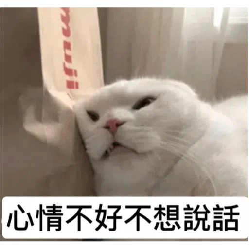 Cat3 - Sticker 16