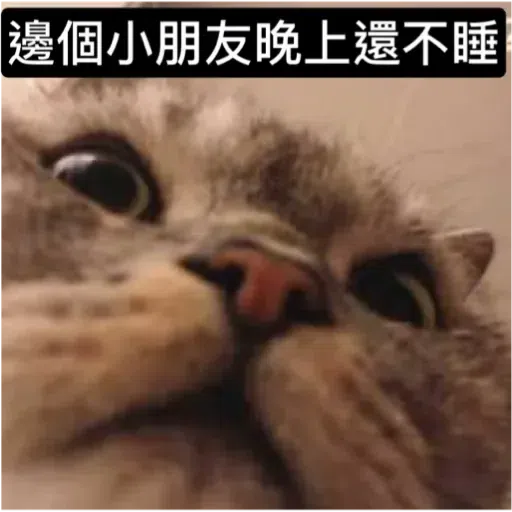 Cat3 - Sticker 20