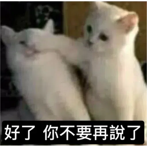 Cat3 - Sticker 28