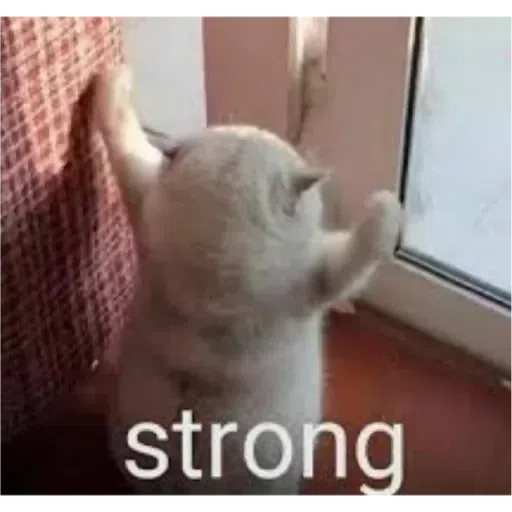 Cat3 - Sticker 27
