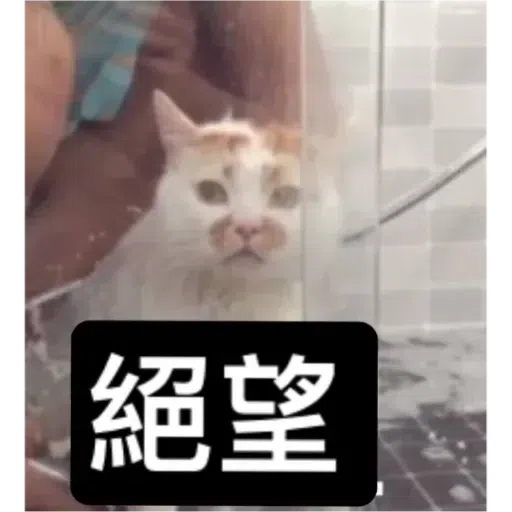 Cat3 - Sticker 26