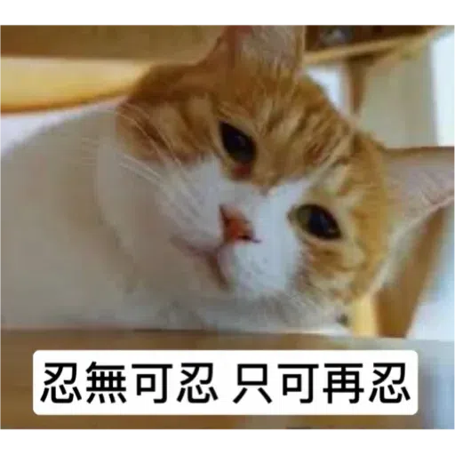Cat3 - Sticker 17