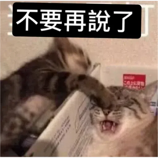 Cat3 - Sticker 30