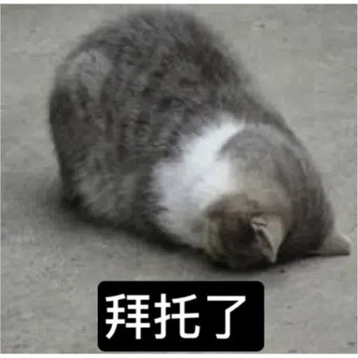 Cat3 - Sticker 10