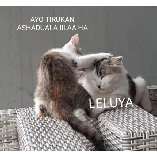 Haduh - Sticker 23