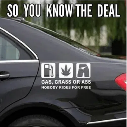 9Gag - Sticker 11
