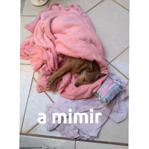 Minina Nina - Sticker 12