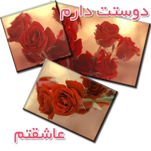 نوشته های گلی - Sticker 15