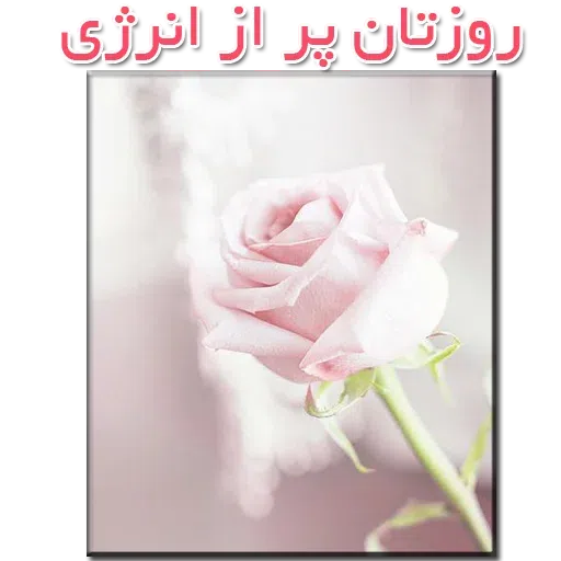 نوشته های گلی - Sticker 16