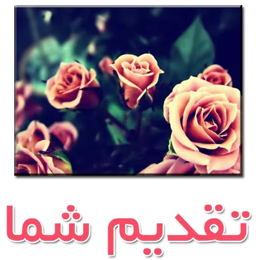 نوشته های گلی - Sticker 17