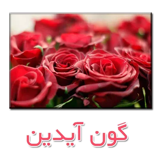 نوشته های گلی - Sticker 13