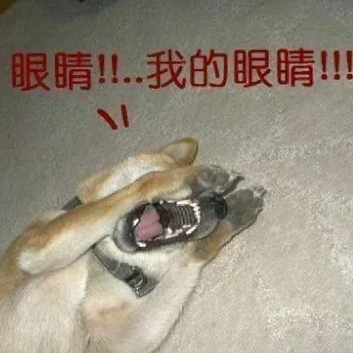 食花生 - Sticker 19