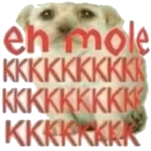 assinado nois 4 - Sticker 29