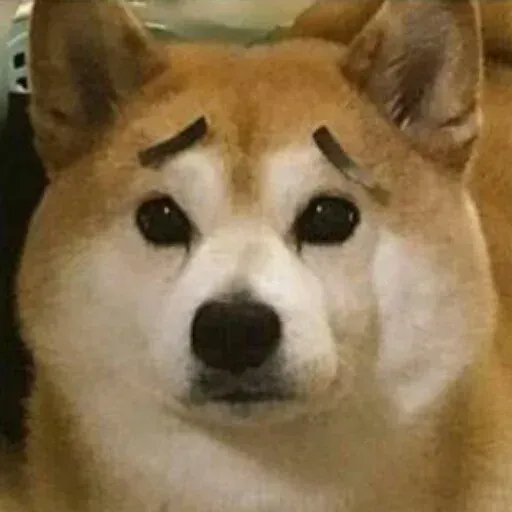 Meme 1.0 - Sticker 19