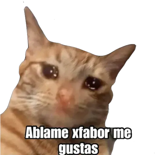 NoMms - Sticker 28