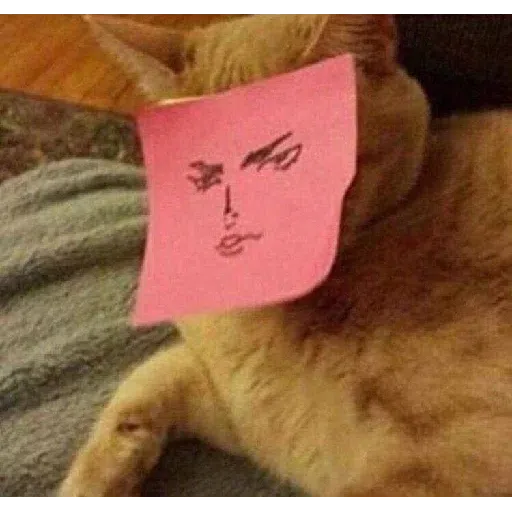 Cat - Sticker 9