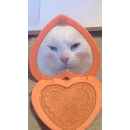 Cat - Sticker 14