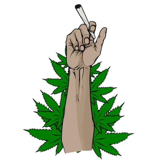 weedeveryday - Sticker 20