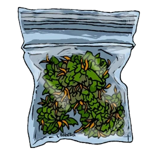 weedeveryday - Sticker 21