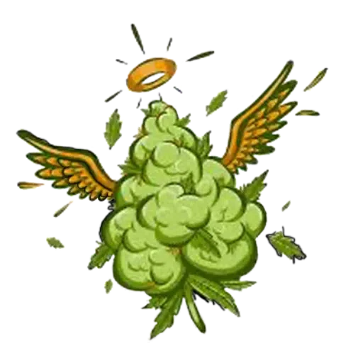 weedeveryday - Sticker 14