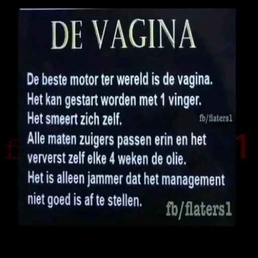 bdf - Sticker 28