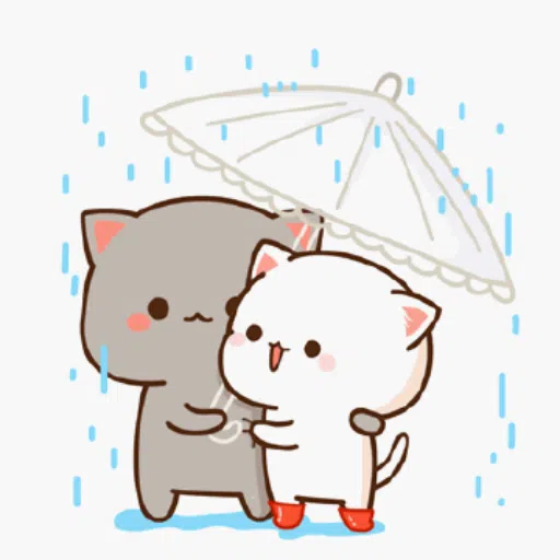 gatito - Sticker 14