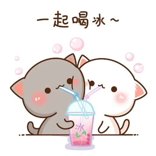 gatito - Sticker 25