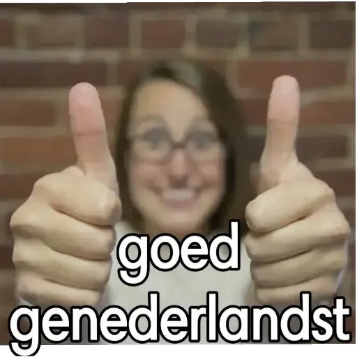 meme99 - Sticker 23