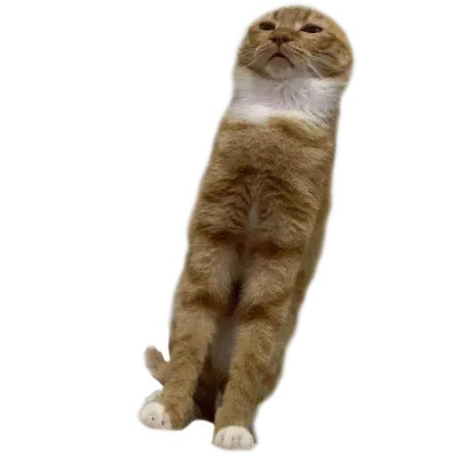21222 - Sticker 11