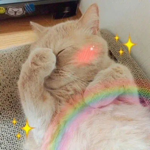 🐱 - Sticker 29