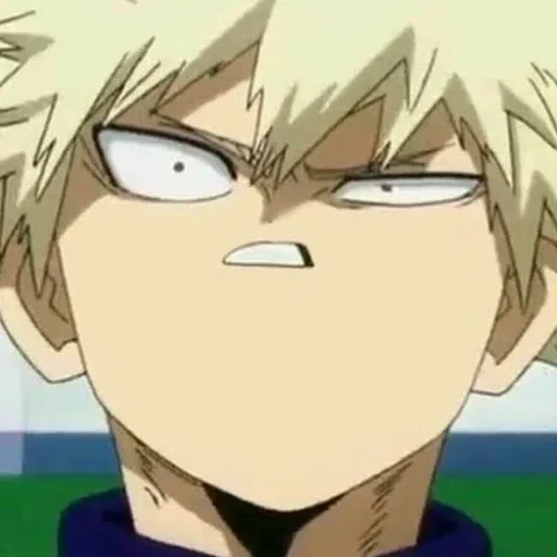 BNHA #4 - Sticker 13
