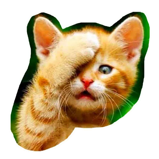 Kittycat - Sticker 15