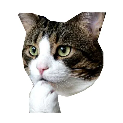 Kittycat - Sticker 21