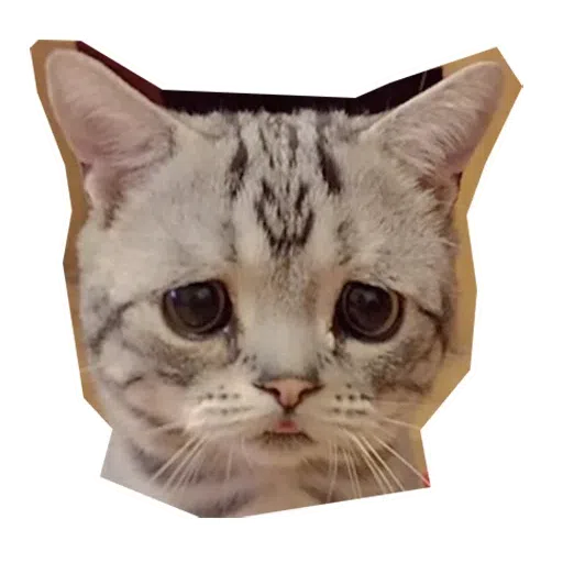 Kittycat - Sticker 23
