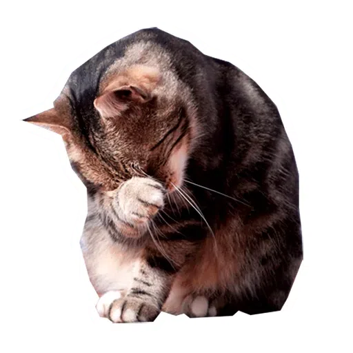 Kittycat - Sticker 16