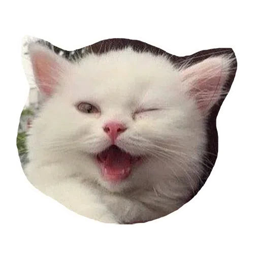 Kittycat - Sticker 10
