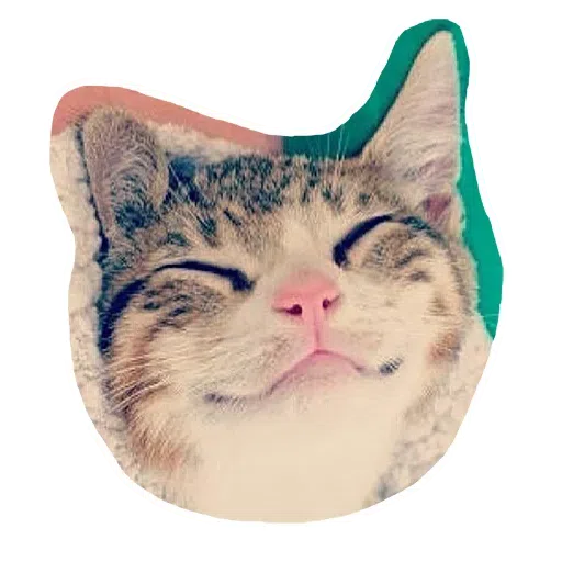 Kittycat - Sticker 12