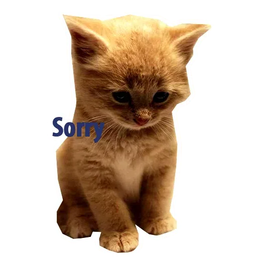 Kittycat - Sticker 18