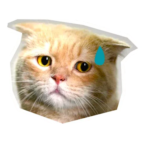 Kittycat - Sticker 24