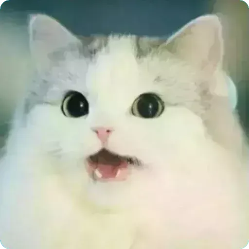 Cat2 - Sticker 15