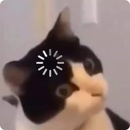 Cat2 - Sticker 28