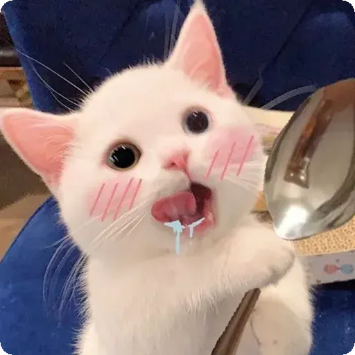 Cat2 - Sticker 23