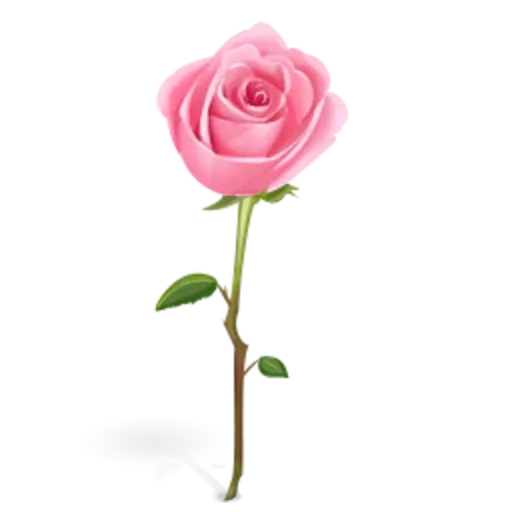 bouquet of flowers - Sticker 14