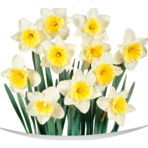 bouquet of flowers - Sticker 11