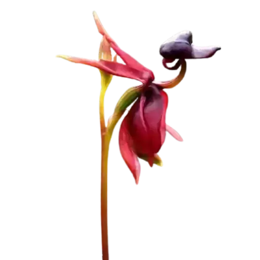bouquet of flowers - Sticker 17