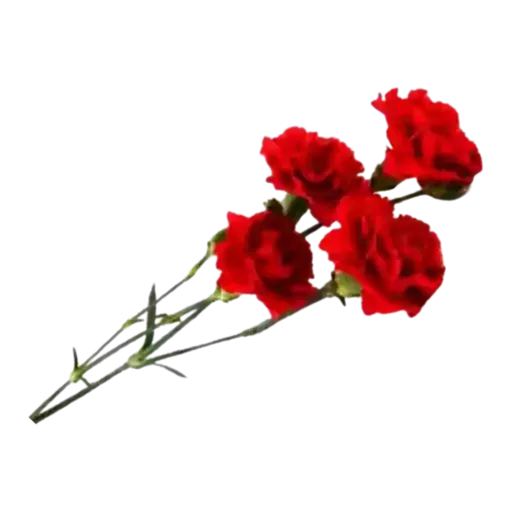 bouquet of flowers - Sticker 12