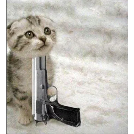 Cats - Sticker 12