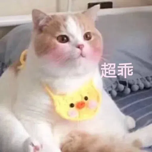 Cat meme - Sticker 22