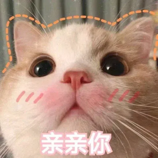 Cat meme - Sticker 21